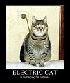 Click image for larger version

Name:	_ElectricCat.jpg
Views:	137
Size:	26.5 KB
ID:	9085669
