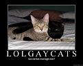 Click image for larger version

Name:	gay cats.jpg
Views:	89
Size:	75.0 KB
ID:	9085734