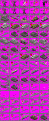 Click image for larger version

Name:	WW2units.gif
Views:	458
Size:	75.7 KB
ID:	9085951