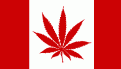 Click image for larger version

Name:	ca_weed.gif
Views:	113
Size:	3.7 KB
ID:	9086025