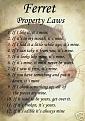 Click image for larger version

Name:	ferret laws.jpg
Views:	215
Size:	30.0 KB
ID:	9086328