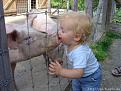 Click image for larger version

Name:	Muhammed kiss.jpg
Views:	240
Size:	106.2 KB
ID:	9086451