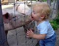 Click image for larger version

Name:	kid_pig_kiss.jpg
Views:	92
Size:	34.6 KB
ID:	9086467