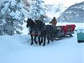 Click image for larger version

Name:	sleigh.jpg
Views:	48
Size:	185.7 KB
ID:	9086908