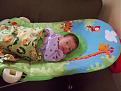 Click image for larger version

Name:	Amelia 024.jpg
Views:	113
Size:	59.4 KB
ID:	9087229