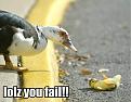 Click image for larger version

Name:	lolz-you-fail.jpg
Views:	77
Size:	36.5 KB
ID:	9088458