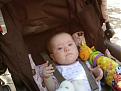 Click image for larger version

Name:	EllyJuly4small.jpg
Views:	119
Size:	26.3 KB
ID:	9089017