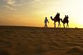 Click image for larger version

Name:	camels.jpg
Views:	494
Size:	12.4 KB
ID:	9089478