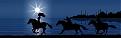 Click image for larger version

Name:	Cat_leaves_Istanbul.jpg
Views:	1138
Size:	48.3 KB
ID:	9090489
