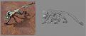 Click image for larger version

Name:	beyond-earth-wildlife-concept.jpg
Views:	321
Size:	63.9 KB
ID:	9100507