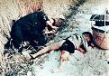 Click image for larger version

Name:	Dead_man_and_child_from_the_My_Lai_massacre.jpg
Views:	50
Size:	437.5 KB
ID:	9101381