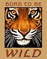 Click image for larger version

Name:	tiger-eyes-print-c10282292.jpg
Views:	154
Size:	41.0 KB
ID:	9120528