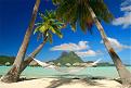 Click image for larger version

Name:	beach.jpg
Views:	95
Size:	196.4 KB
ID:	9120713