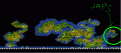 Click image for larger version

Name:	whole map.gif
Views:	141
Size:	20.1 KB
ID:	9123574