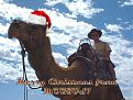 Click image for larger version

Name:	2002_1208_camel2.jpg
Views:	215
Size:	99.8 KB
ID:	9124417