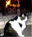 Click image for larger version

Name:	orion.jpg
Views:	198
Size:	14.0 KB
ID:	9124506