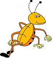 Click image for larger version

Name:	bug.jpg
Views:	228
Size:	16.8 KB
ID:	9125295