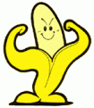 Click image for larger version

Name:	proud-banana.gif
Views:	2064
Size:	3.4 KB
ID:	9125836