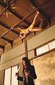Click image for larger version

Name:	killbill04.jpg
Views:	198
Size:	71.8 KB
ID:	9128691