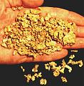 Click image for larger version

Name:	raw-nugget10-big.jpg
Views:	234
Size:	49.9 KB
ID:	9131022