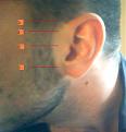 Click image for larger version

Name:	sideburn.jpg
Views:	1064
Size:	14.9 KB
ID:	9132960