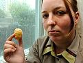 Click image for larger version

Name:	timbit.jpg
Views:	288
Size:	23.7 KB
ID:	9133901
