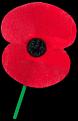 Click image for larger version

Name:	poppy.jpg
Views:	158
Size:	7.6 KB
ID:	9134821