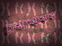 Click image for larger version

Name:	genetics.jpg
Views:	583
Size:	6.8 KB
ID:	9313778