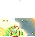 Click image for larger version

Name:	Inundable.jpg
Views:	264
Size:	41.2 KB
ID:	9447453