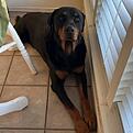Click image for larger version

Name:	img_1_1760577381846.jpg
Views:	58
Size:	79.3 KB
ID:	9486138